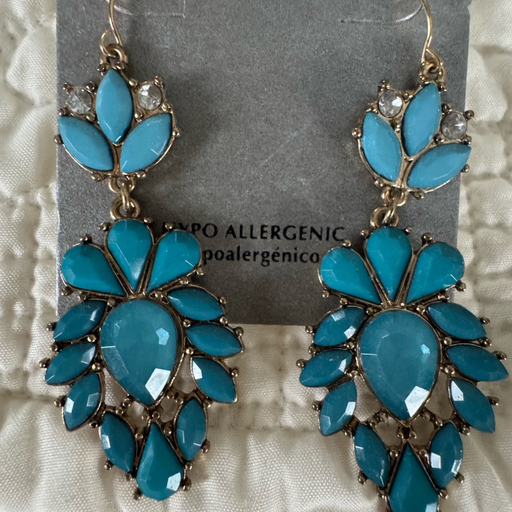 Elegant Blue Drop Earrings